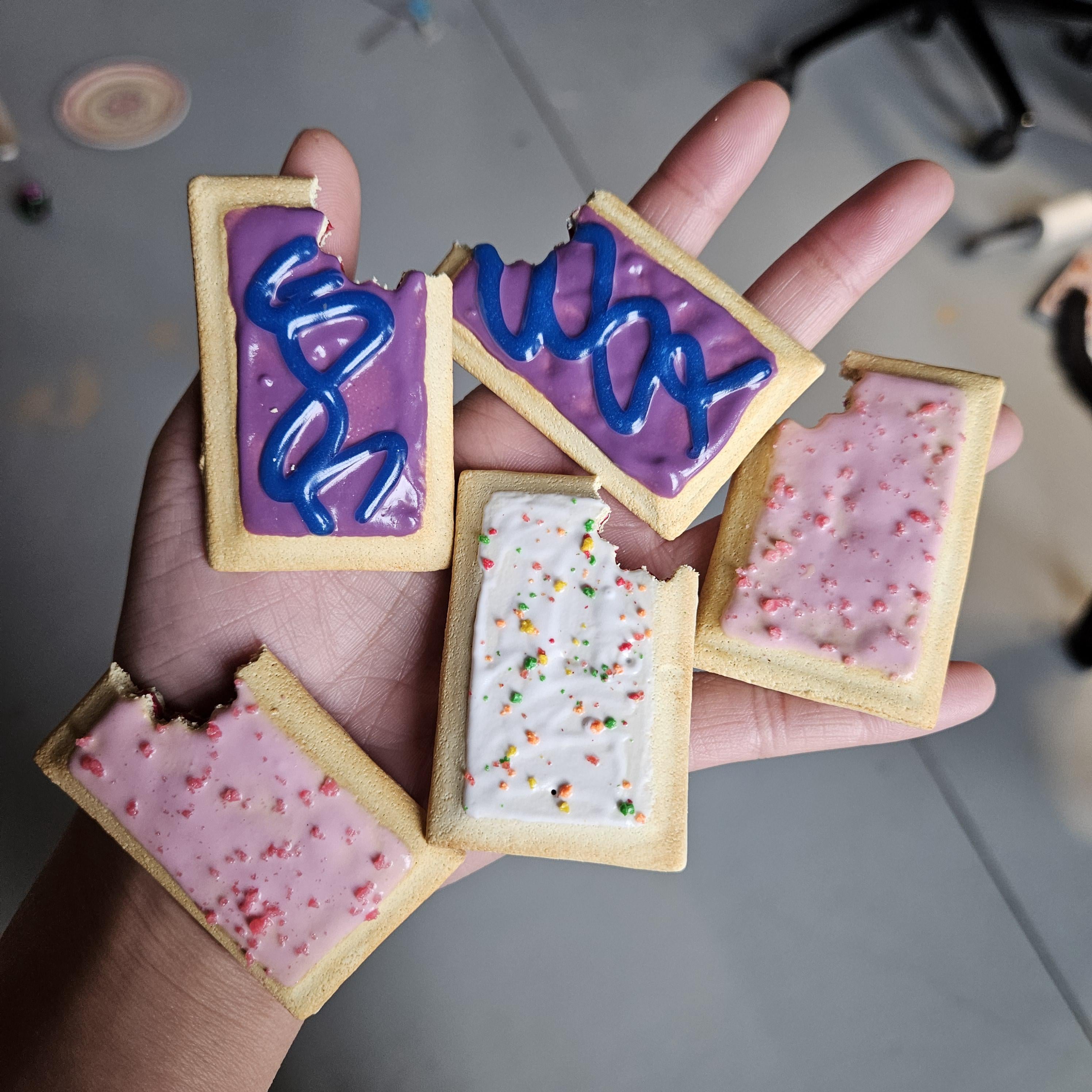 Miniature Pop Tart Magnet – Strawberry, Cherry, or Wildlicious