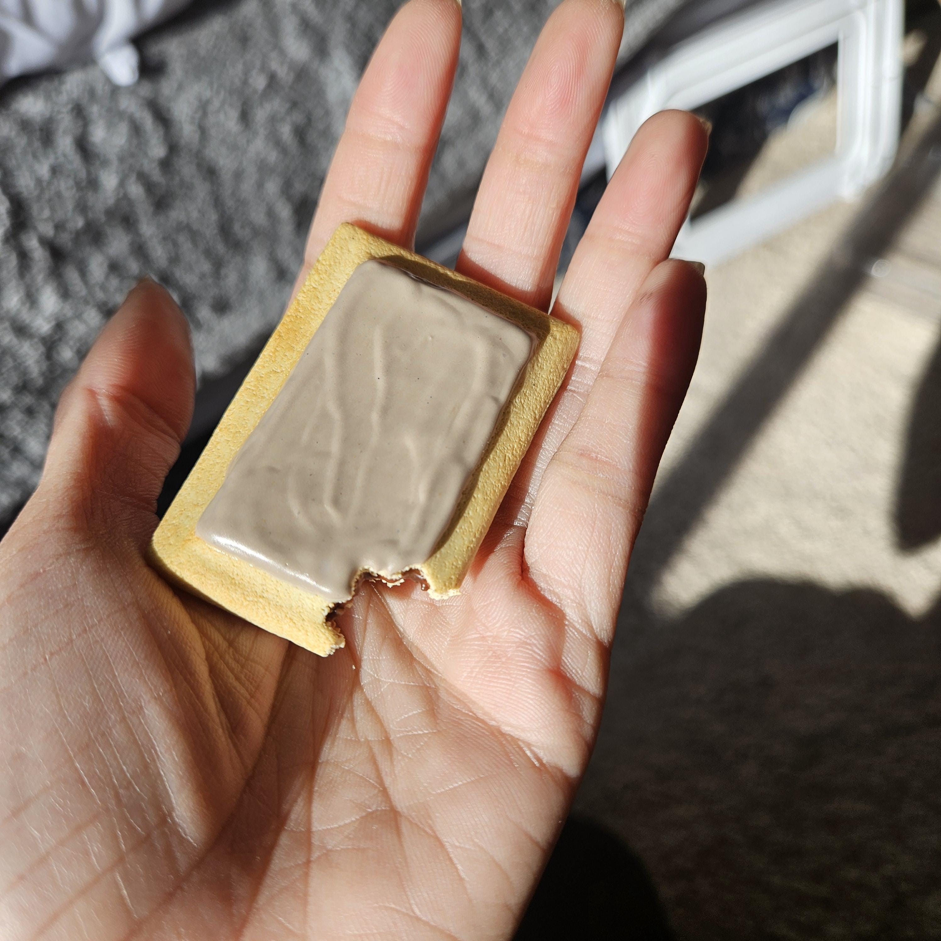 Brown Sugar Cinnamon Pop-Tart Magnet