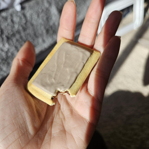 Brown Sugar Cinnamon Pop-Tart Magnet