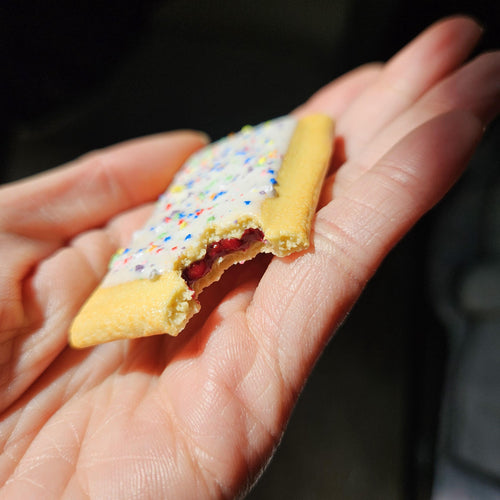Blueberry Poptart Magnet, Polymer Clay Mini Food Fridge Decor, Toaster Pastry Art