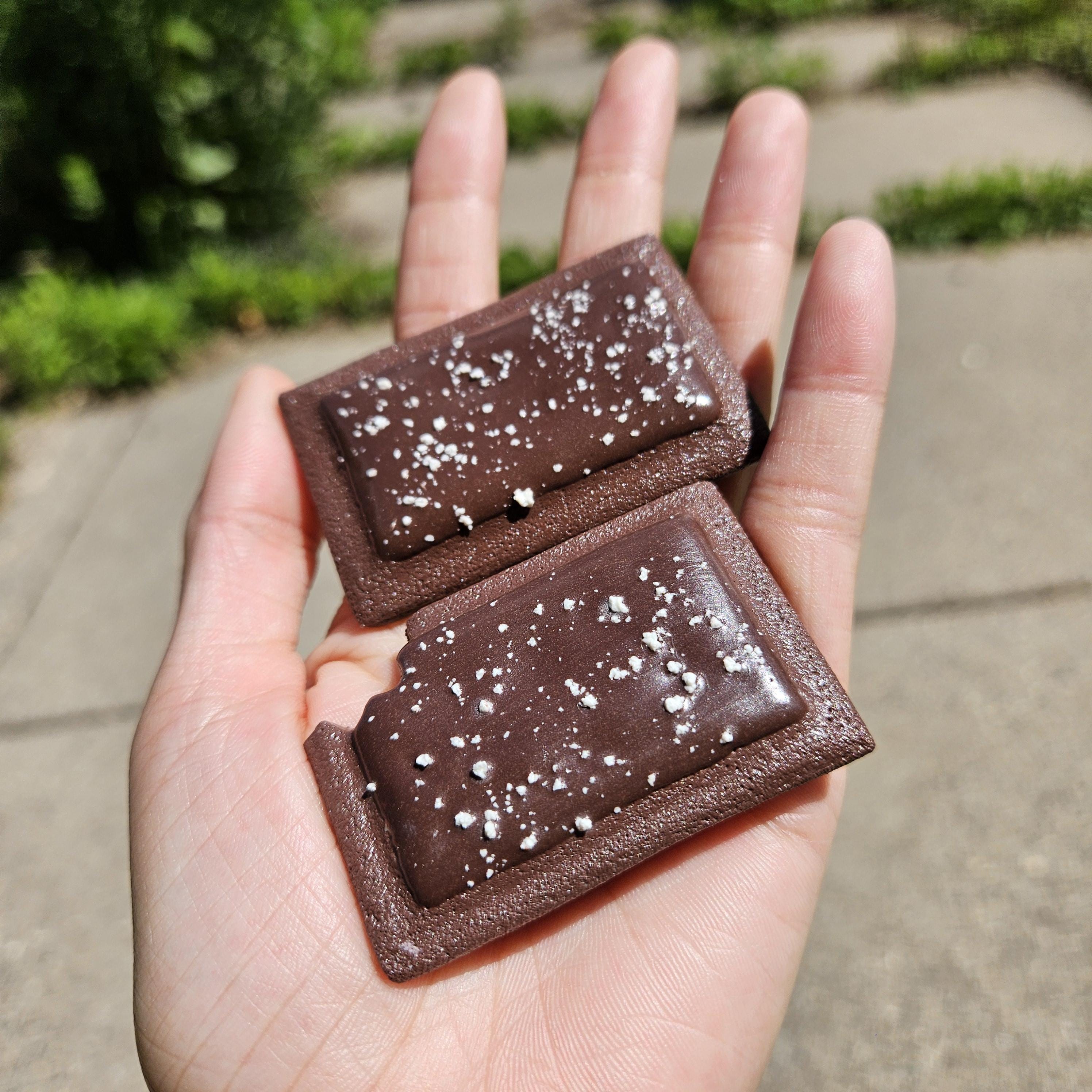Miniature Pop-Tart Magnets