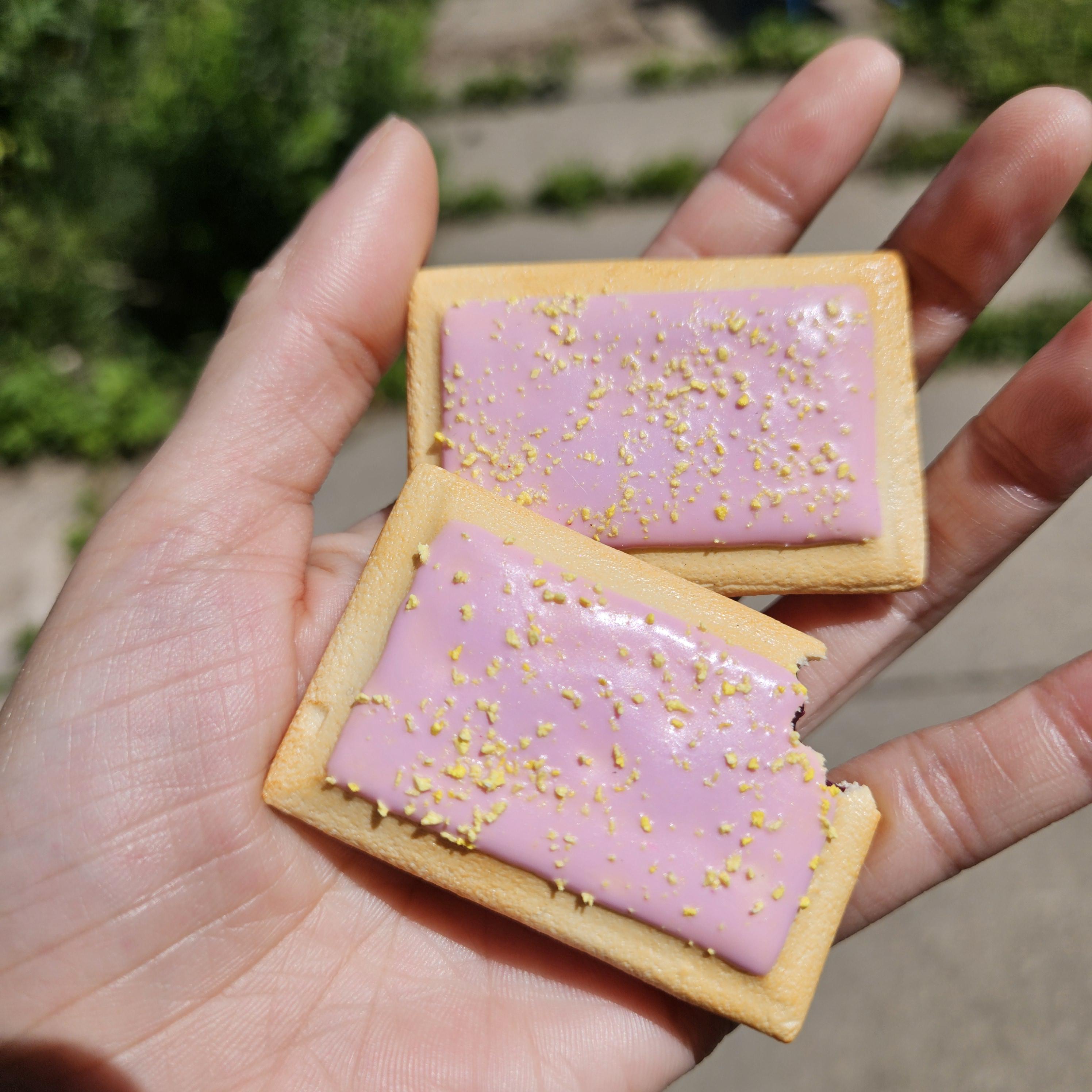Miniature Pop-Tart Magnets
