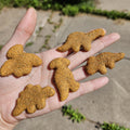 Miniature Dinosaur Chicken Nugget Magnets - Set of 5