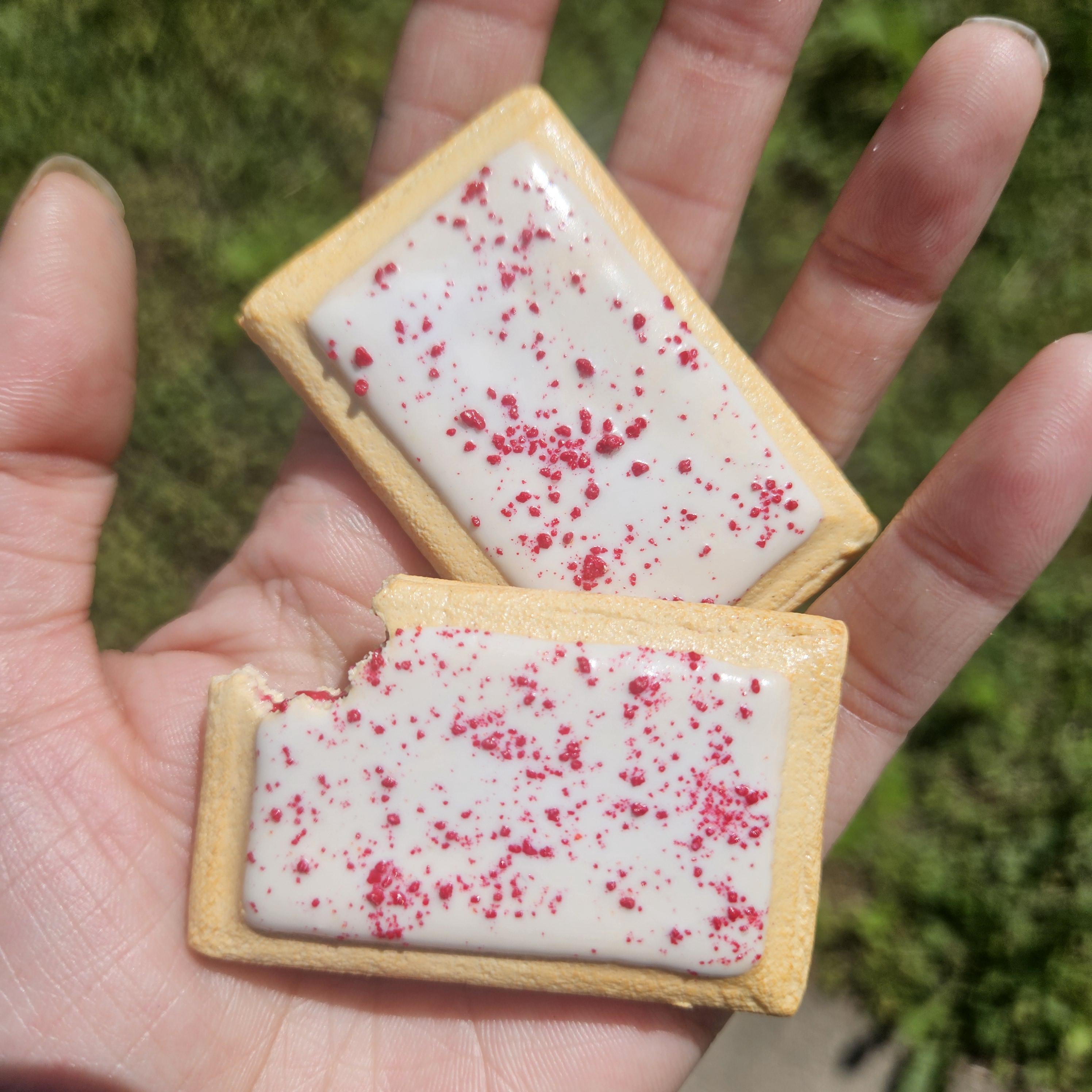 Miniature Pop-Tart Magnets