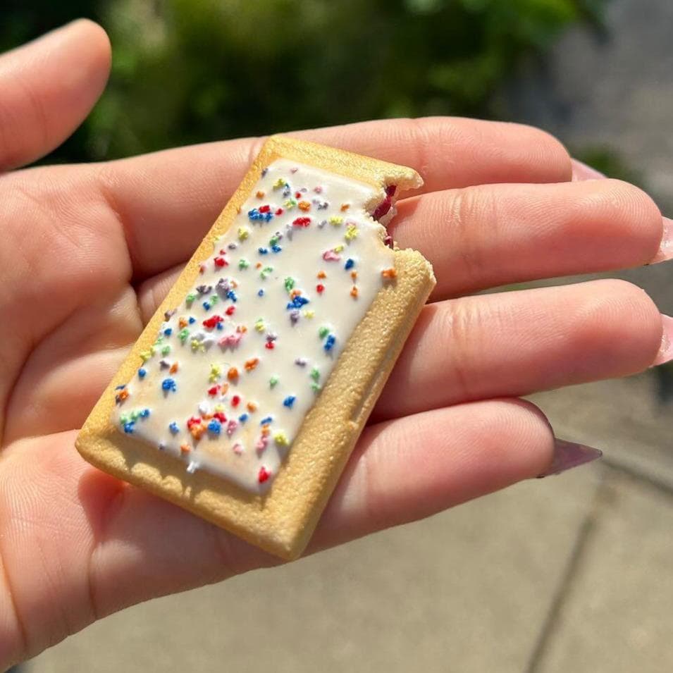 Miniature Pop-Tart Magnets