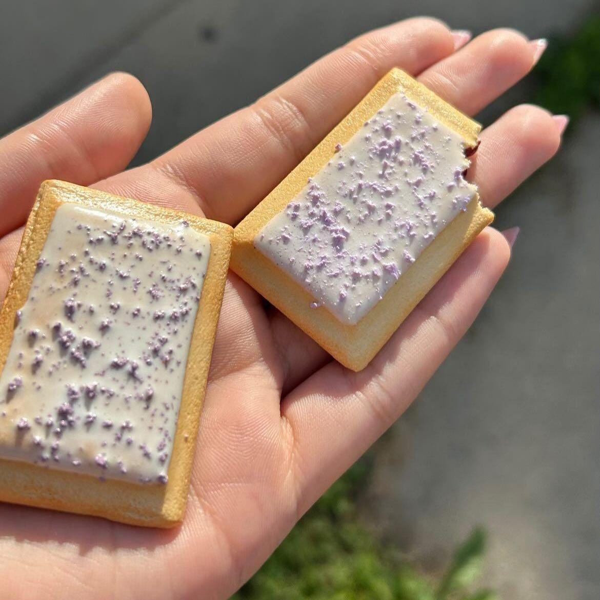 Miniature Pop-Tart Magnets