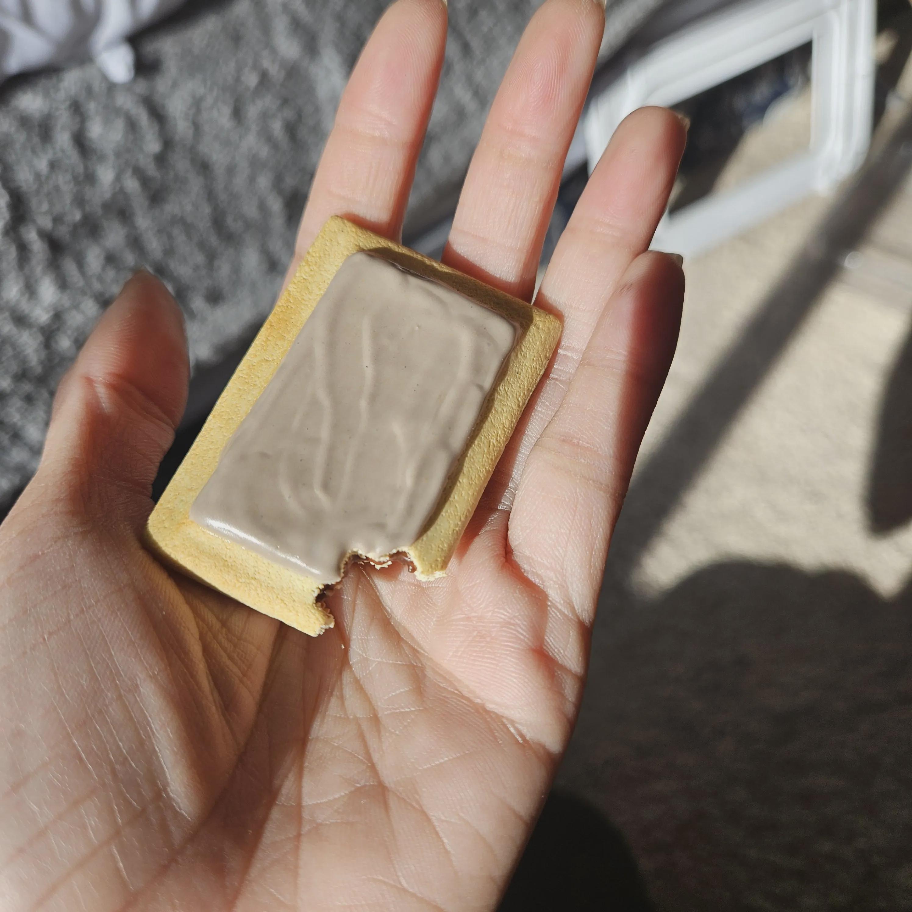 Miniature Pop-Tart Magnets