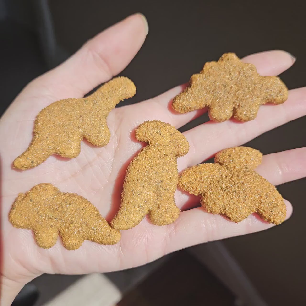 Miniature Dinosaur Chicken Nugget Magnets - Set of 5